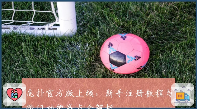 虎扑官方版上线，新手注册教程与热门功能亮点全解析