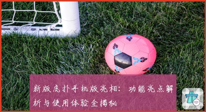 新版虎扑手机版亮相：功能亮点解析与使用体验全揭秘