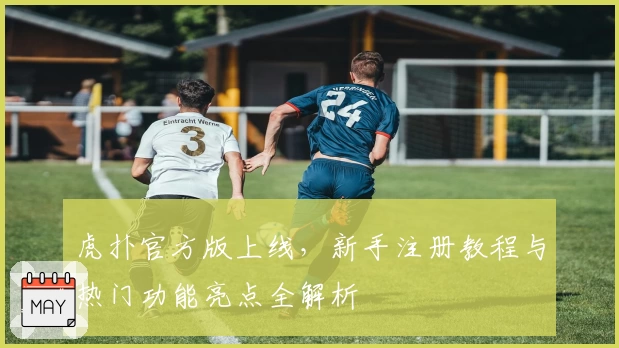 虎扑官方版上线，新手注册教程与热门功能亮点全解析